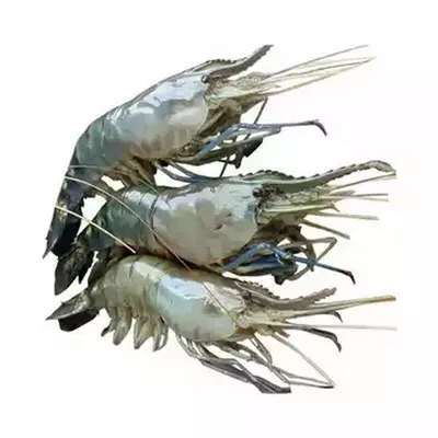 Golda Chingri (Shrimp) 16-20 pcs ±30 gm