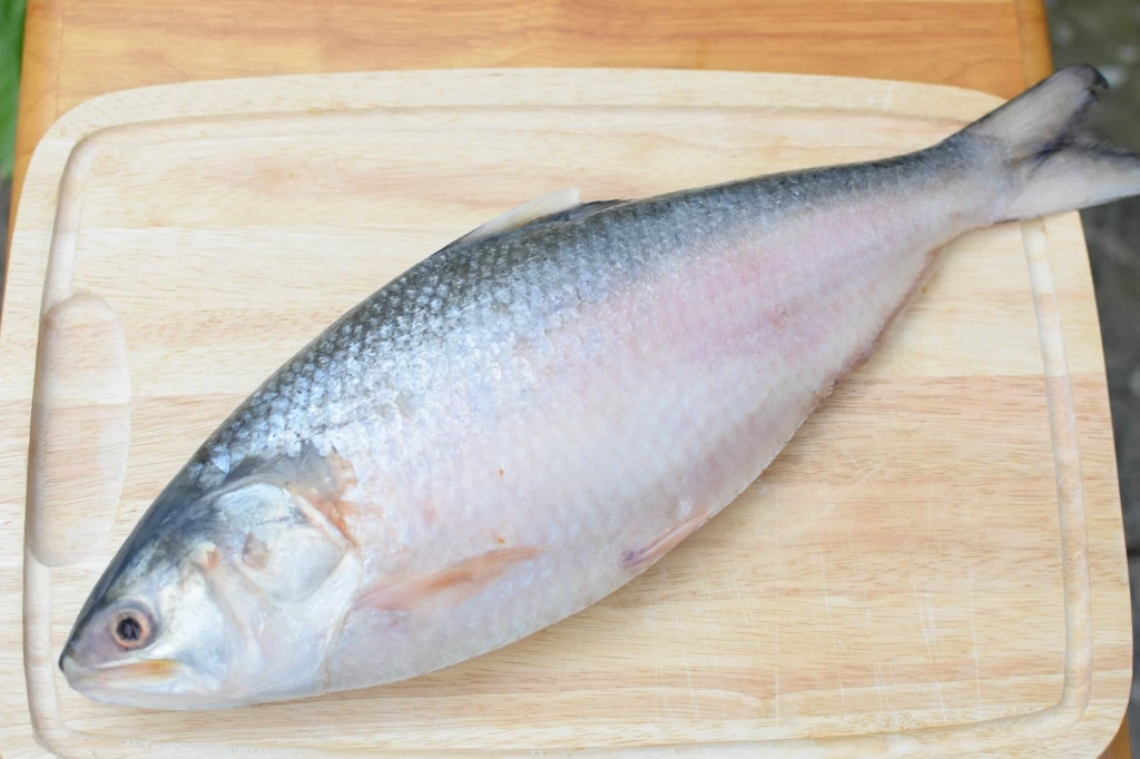 Meat & Fish