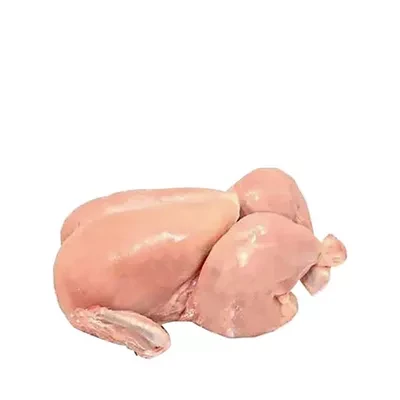 Chicken & Poultry