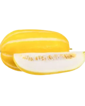 Musk Melon (Bangi)